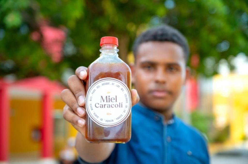Miel El Caracolí: un emprendimiento con sello Uniguajira centrado en la apicultura sostenible