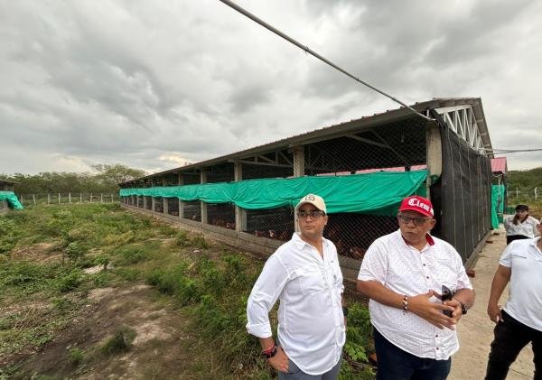 Gobernador Jairo Aguilar entrega proyecto avícola que beneficiará a 100 familias de Mayabangloma