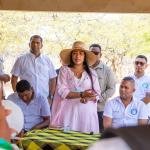Tras constancia de Martha Peralta Epieyú en el Senado, Air-e reativó proyecto de subestación móvil para Uribia y Manaure