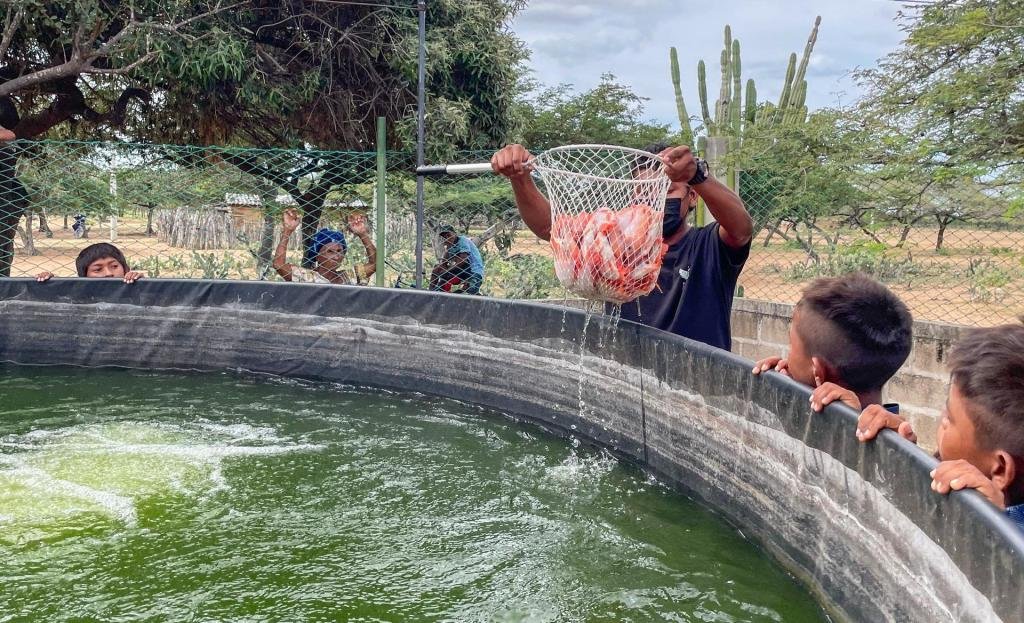 Uniguajira contribuye a la seguridad alimentaria en comunidades de Manaure con proyecto acuapónico