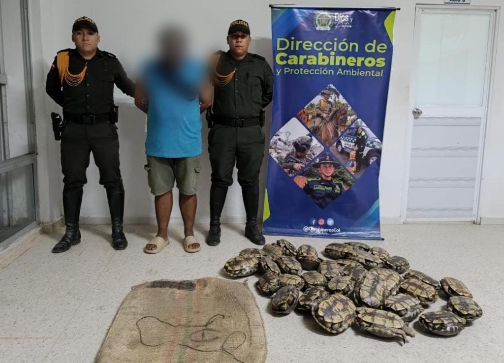 ¡Se salvaron de un baño con zumo de Coco! Policía rescata 65 hicoteas que iban a ser comercializadas en restaurantes y plaza de mercado en Magangué