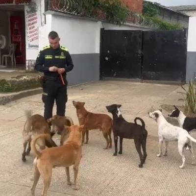 El angel de los perros: la historia del policía que salva a caninos abandonados